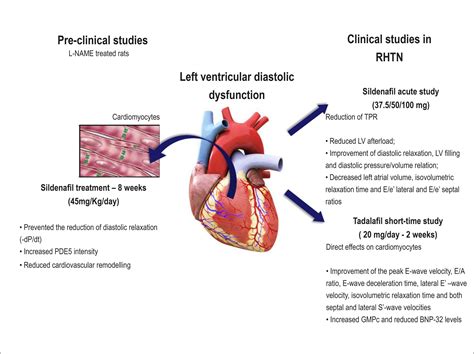 low lv systolic function|left ventricular systolic dysfunction levels.